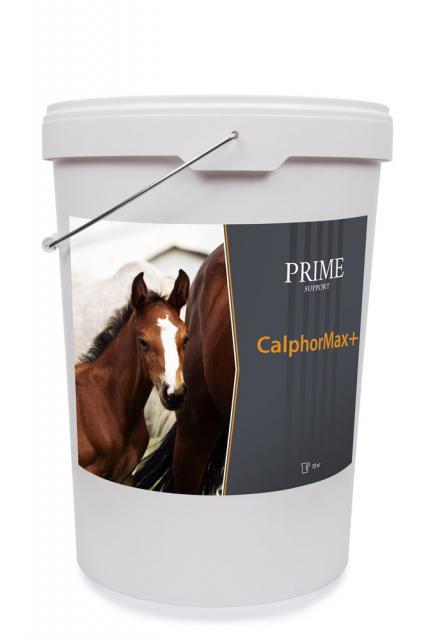 CalphorMax+ — крепкие кости и правильный рост